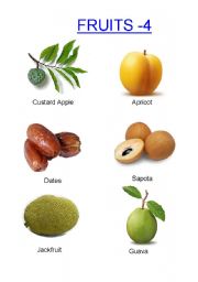English Worksheet: Fruits -4