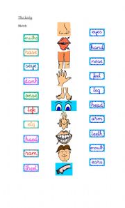 English Worksheet: Parts of the body