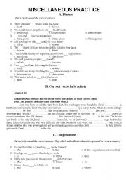 English Worksheet: Miscellaneous Practice (Plurals,Verb Forms, Clauses)
