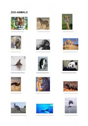 English Worksheet: zoo animals