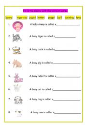 English Worksheet: Baby Animal