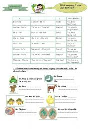 English Worksheet: Anita the Vet presents: Verb to be (2)