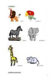 English worksheet: Wild Animals