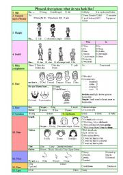 English Worksheet: physical description