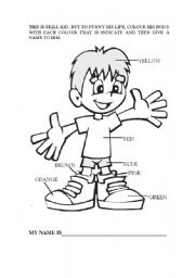 English Worksheet: Coulor, name and boy