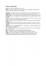 English Worksheet: The body - internal organs