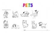 English Worksheet: PETS