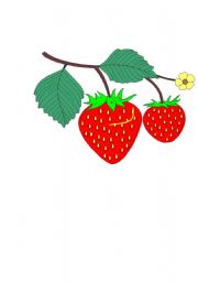 English Worksheet: Smiling fruits flashcards (6) !