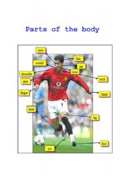 English Worksheet: Parts Of The Body