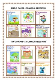 English Worksheet: Common questions