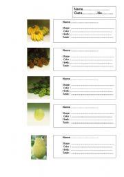 English Worksheet: fruit