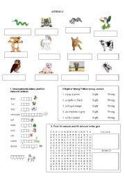 English Worksheet: animals