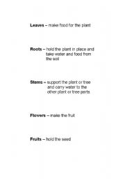 English Worksheet: Plant parts and definitions 