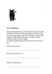 English worksheet: My favourite