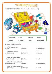 English Worksheet: GOING TO FUTURE