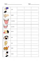 English worksheet: BODY PARTS: WRITE THE WORDS - PART 2