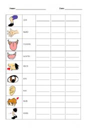 English Worksheet: BODY PARTS: WRITE THE WORDS - PART 2