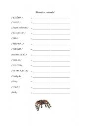 English worksheet: Phonetics Animals