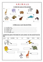 English Worksheet: Animals  (Part 1)