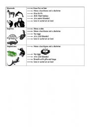 English Worksheet: Animals classification