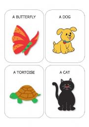 ANIMAL FLASHCARDS