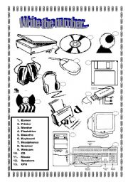 English Worksheet: Match the parts of the computer