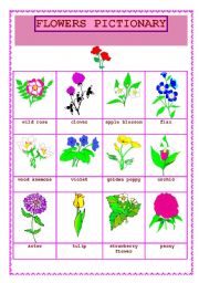 English Worksheet: FLOWERS PICTIONARY (2)