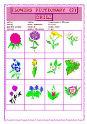 English Worksheet: FLOWERS PICTIONARY DRILL (2)