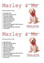 Marley & Me Video activity