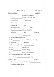 English Worksheet: E.V.S Worksheet