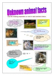 Unknown animal facts