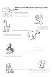 English worksheet: Wild animals