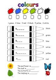 English Worksheet: colours