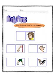 English Worksheet: Body Parts