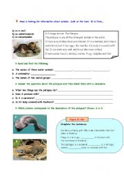 English worksheet: PLATYPUS .- READING