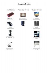 English Worksheet: Computer Devices