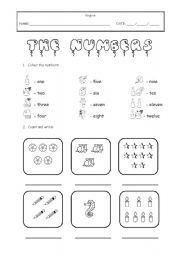 English Worksheet: The Numbers