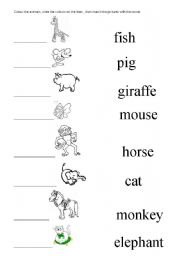 English Worksheet: Animal Match and Color
