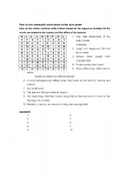 English Worksheet: crossword