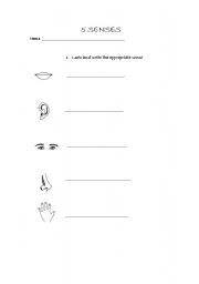 English worksheet: 5 senses