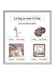 English Worksheet: LIVING, NON-LIVING