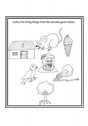 English Worksheet: LIVING, NON-LIVING