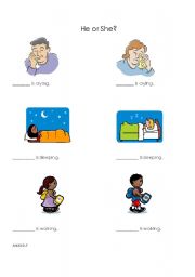 English Worksheet: He vs. She Pronouns