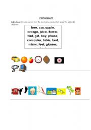 English worksheet: Everyday Vocabulary