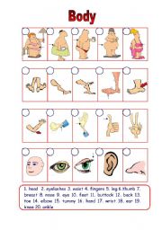 English Worksheet: Parts of the body (15.08.09)