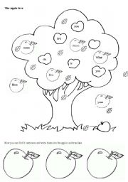 English Worksheet: Tree with sentences