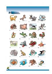 English Worksheet: animals