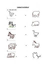 English worksheet: animal