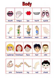 English Worksheet: Parts of the body 2/2 (16.08.09)