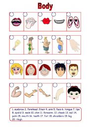 English Worksheet: Body (16.08.09)